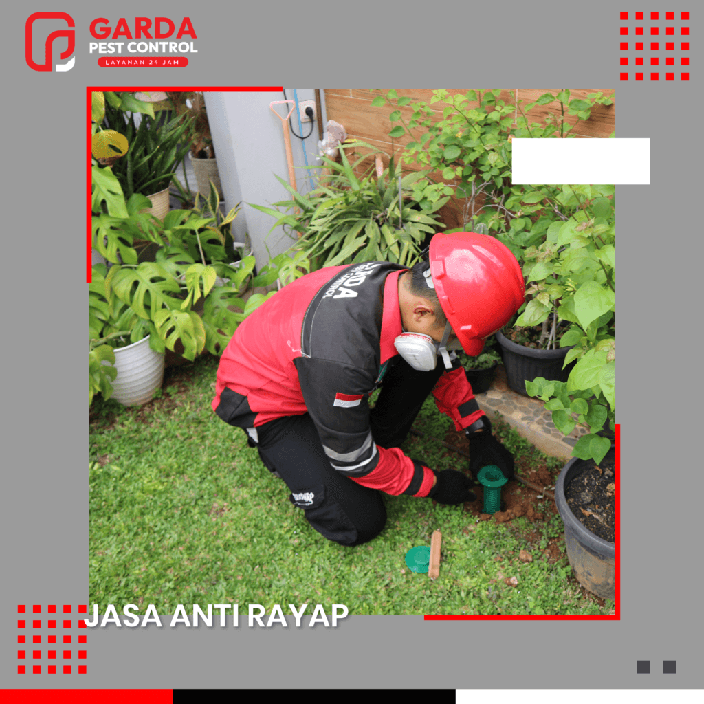 Jasa Anti Rayap