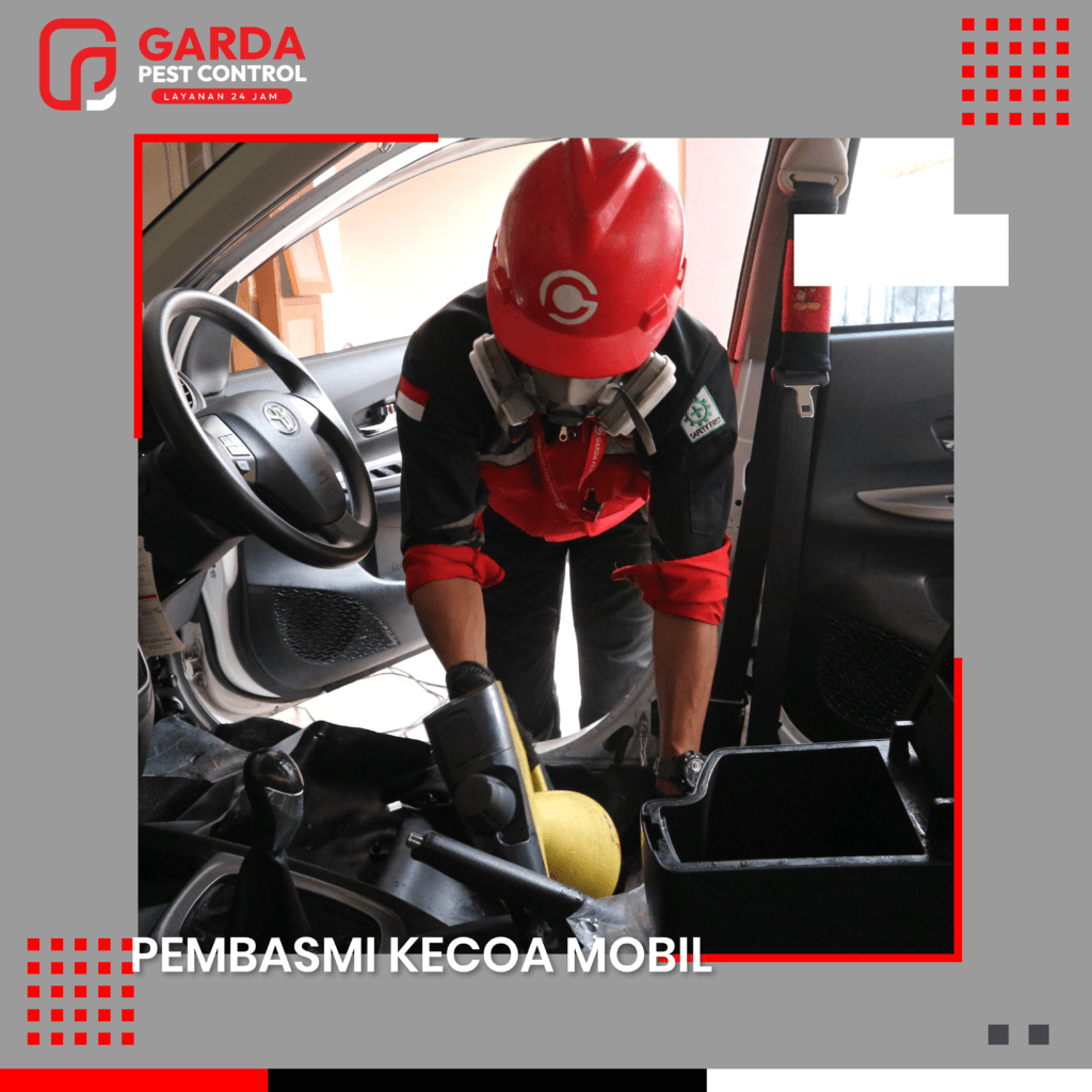 Jasa Pembasmi Kecoa di Mobil