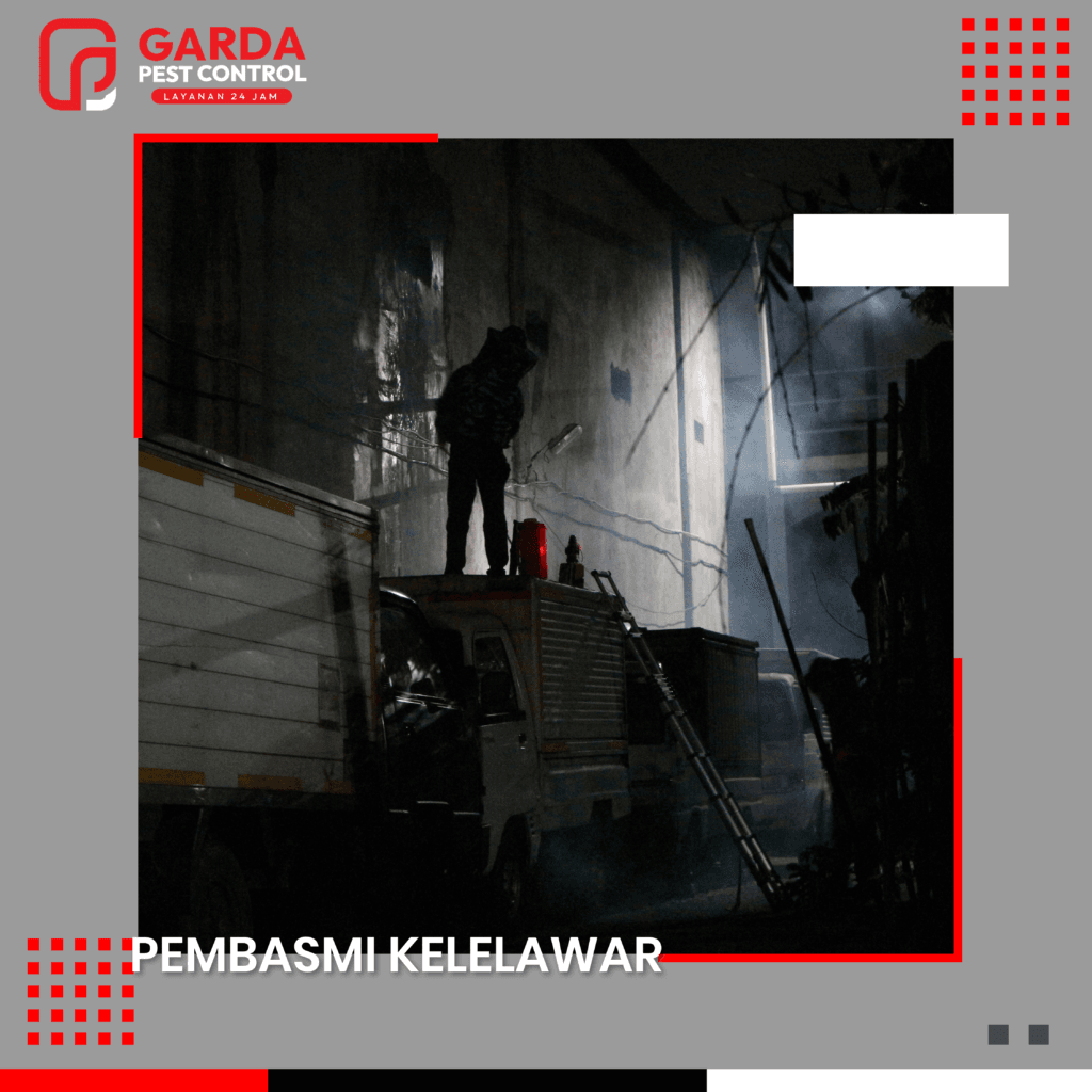 Jasa Pembasmi Kelelawar