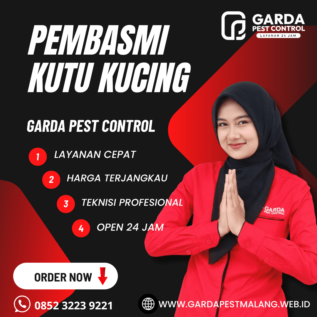 Jasa Pembasmi Kutu Kucing di Pujon Malang