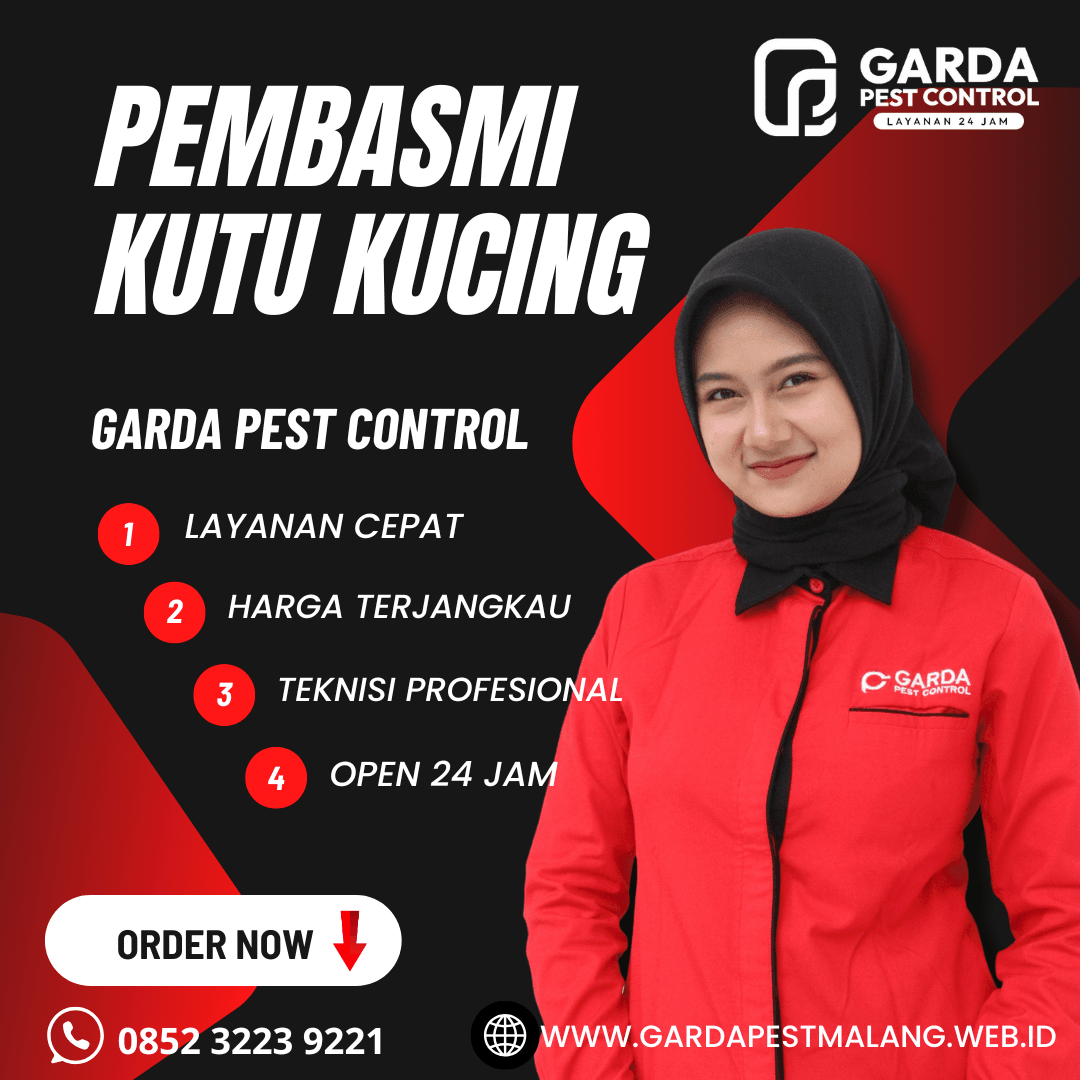 Jasa Pembasmi Kutu Kucing di Tajinan Malang
