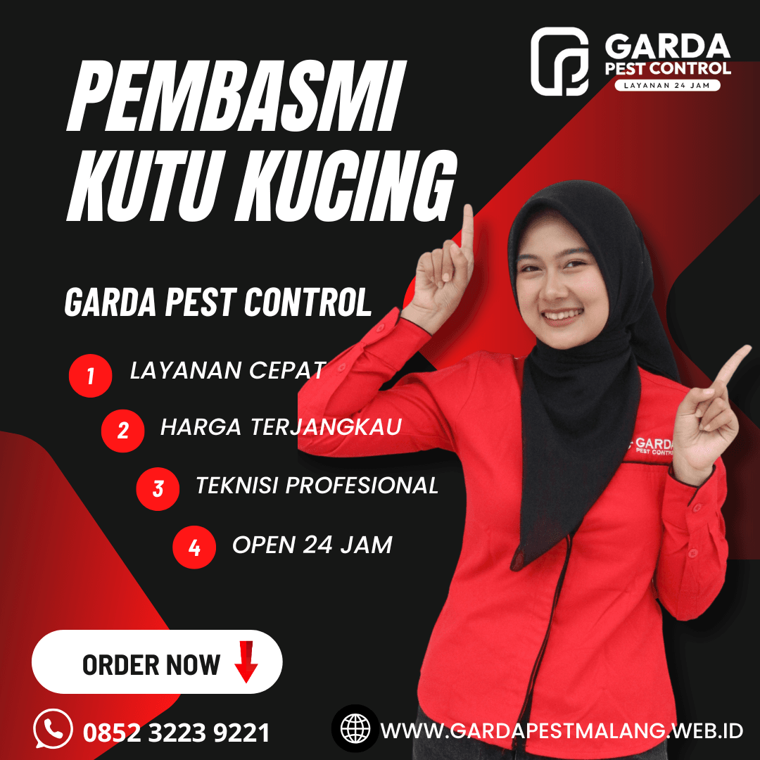 Jasa Pembasmi Kutu Kucing di Singosari