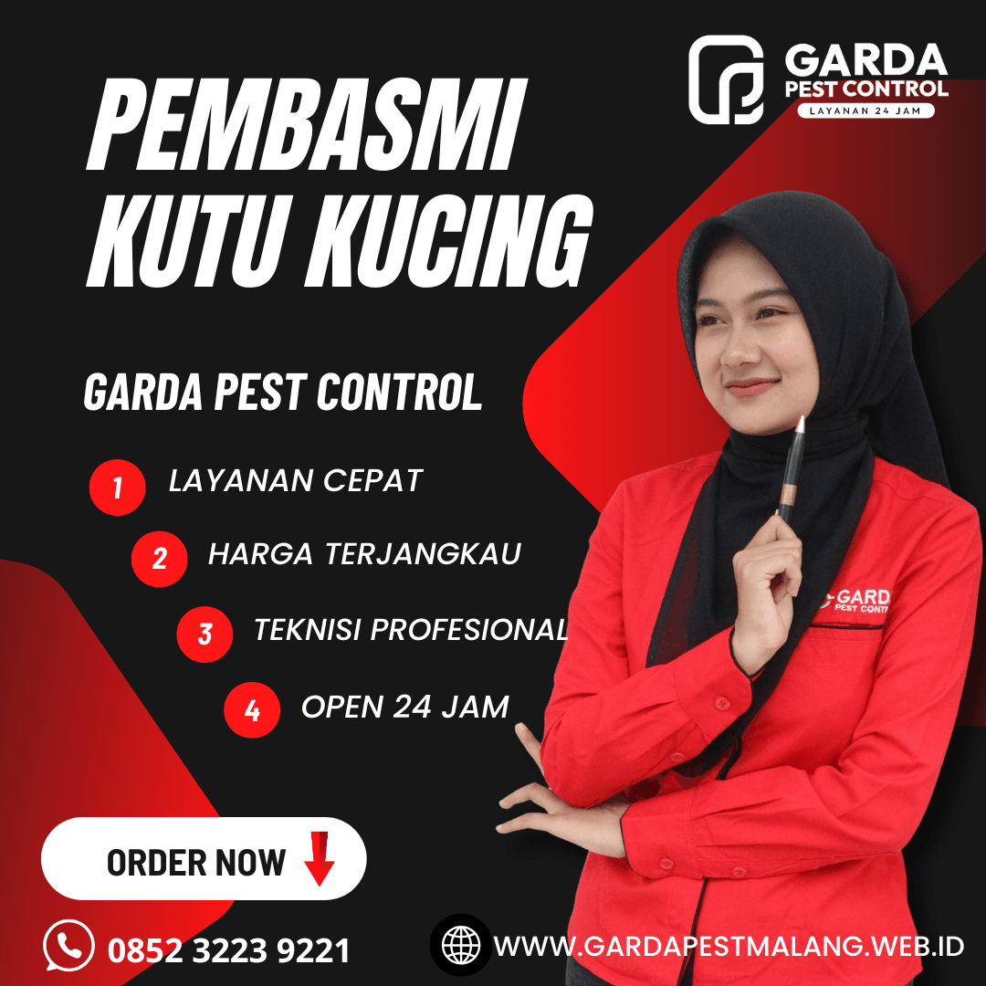 Jasa Pembasmi Kutu Kucing di Poncokusumo