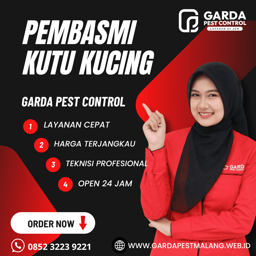 Jasa Pembasmi Kutu Kucing di Pakisaji Malang
