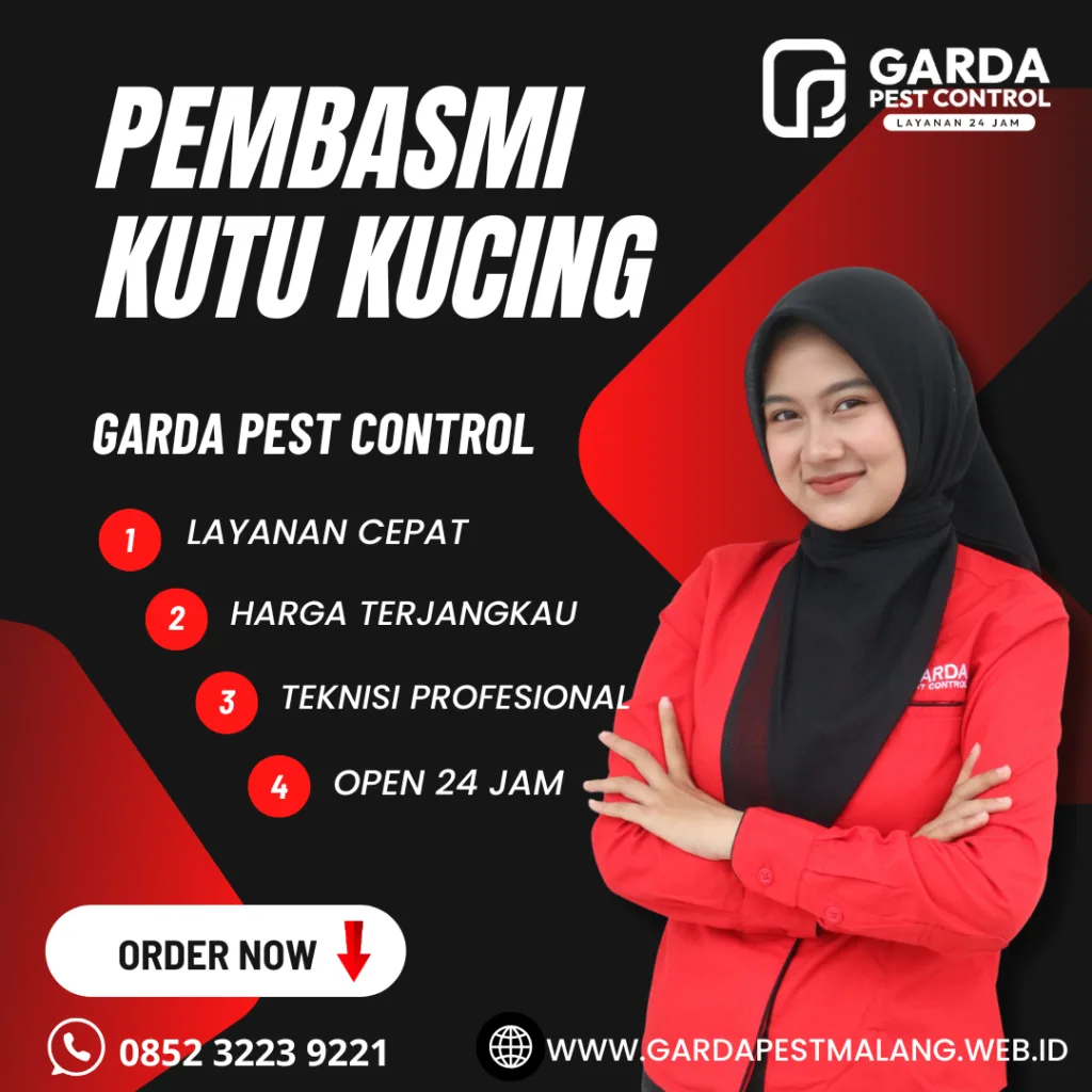 Jasa Pembasmi Kutu Kucing Di Pakis Malang