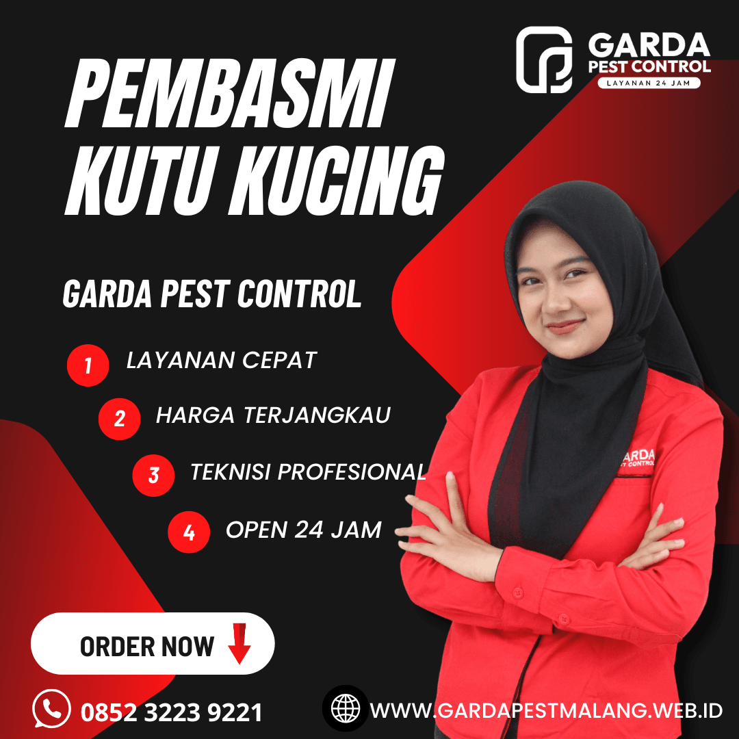 Jasa Pembasmi Kutu Kucing di Pakis Malang Terbaik