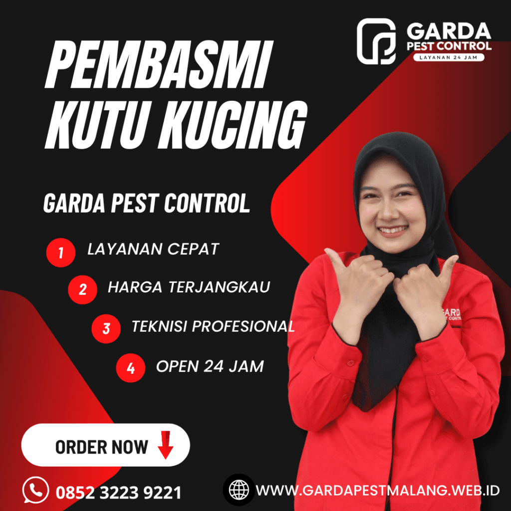Jasa Pembasmi Kutu Kucing di Turen Malang