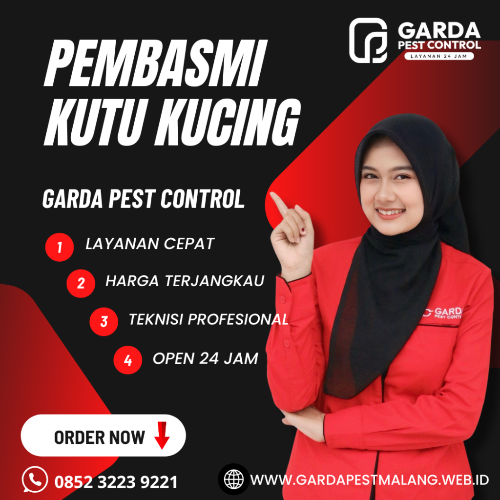 Jasa Pembasmi Kutu Kucing Di Tirtoyudo Malang