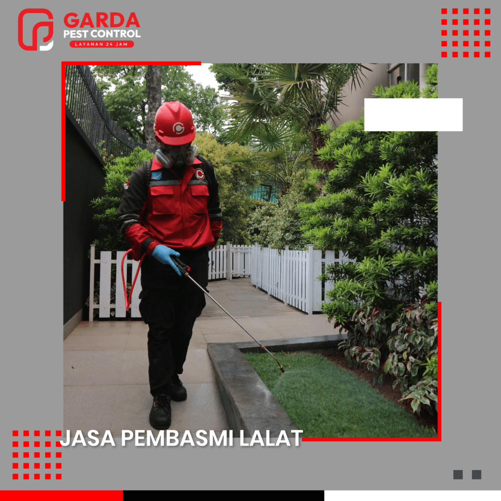 Jasa Pembasmi Lalat