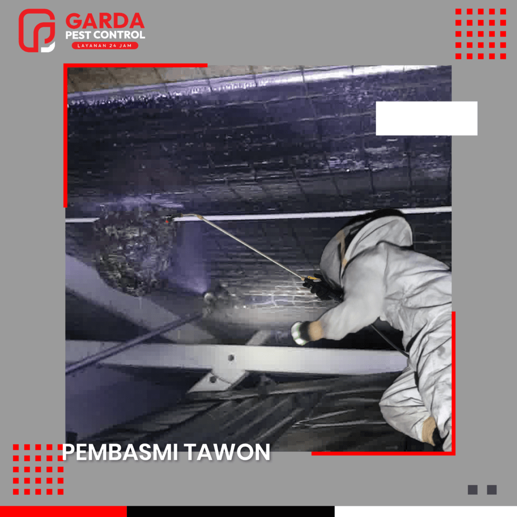 Jasa Pembasmi Tawon