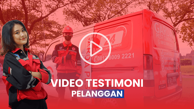 Testimoni Garda Pest Control Jogja
