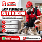 Jasa Pembasmi Kutu Kucing di Malang