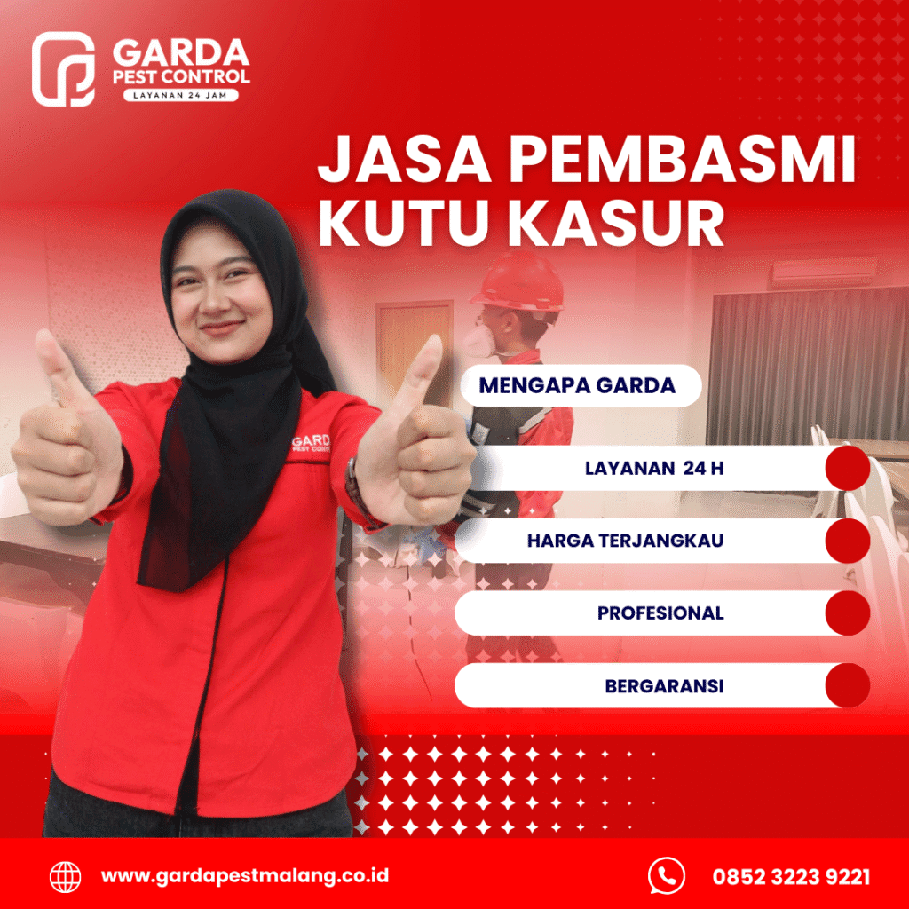 Jasa Pembasmi Kutu Busuk di Malang Berpengalaman