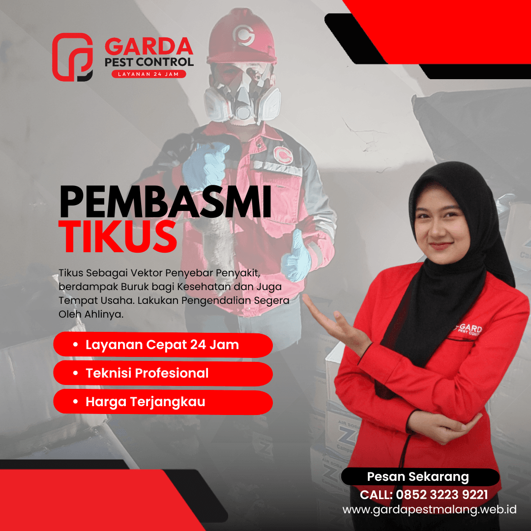 Jasa Pembasmi Tikus di Malang Terbaik di Jawa Timur