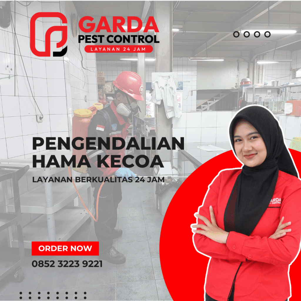 Jasa Pembasmi Kecoa di Malang Murah dan Terbaik No.1