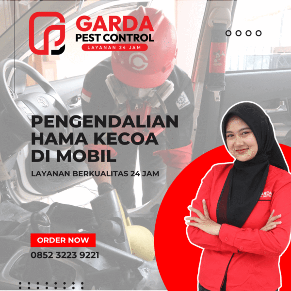 Jasa Pembasmi Kecoa di Mobil Ijen Malang Aman Untuk Mobil Listrik