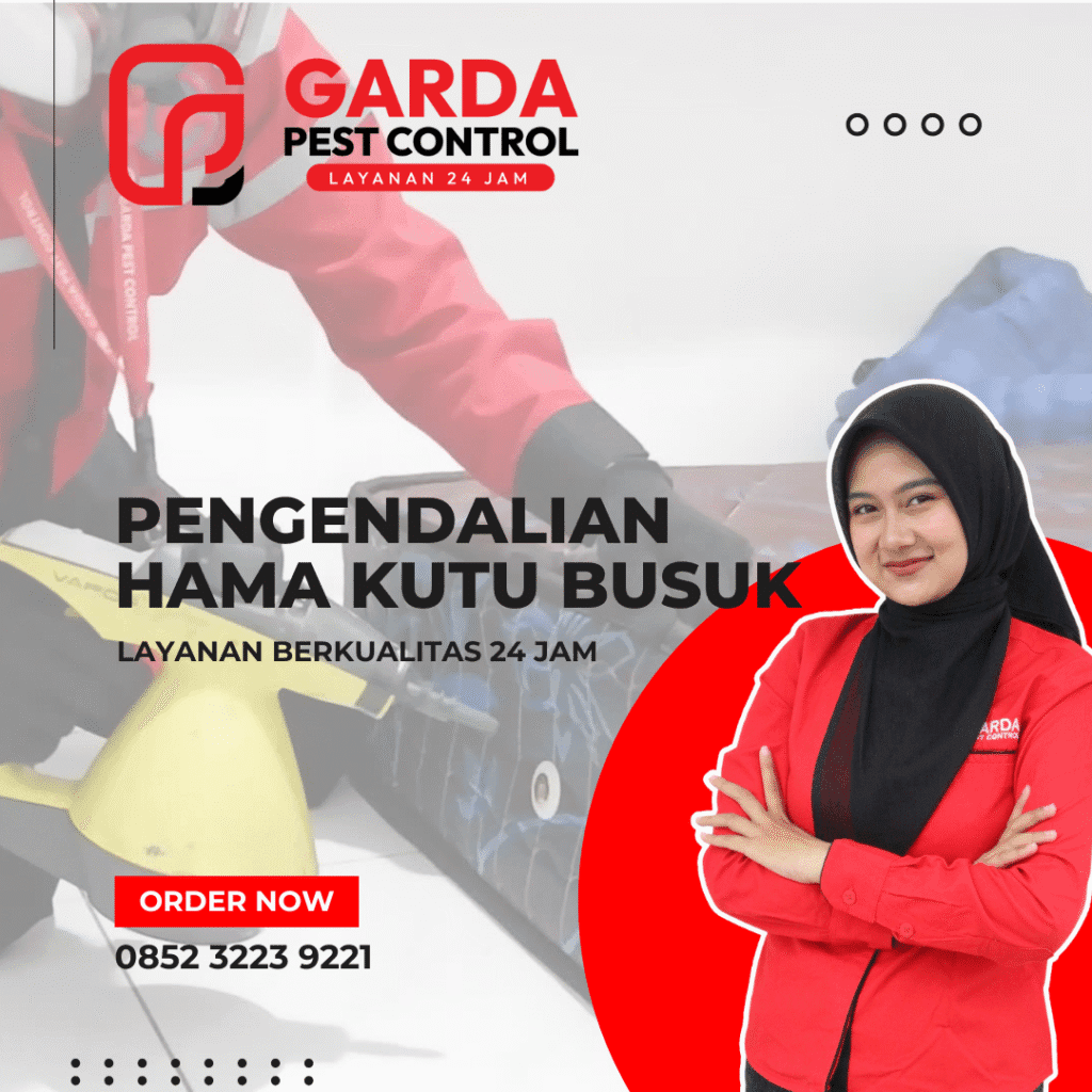 Jasa Basmi Kutu Busuk Terdekat