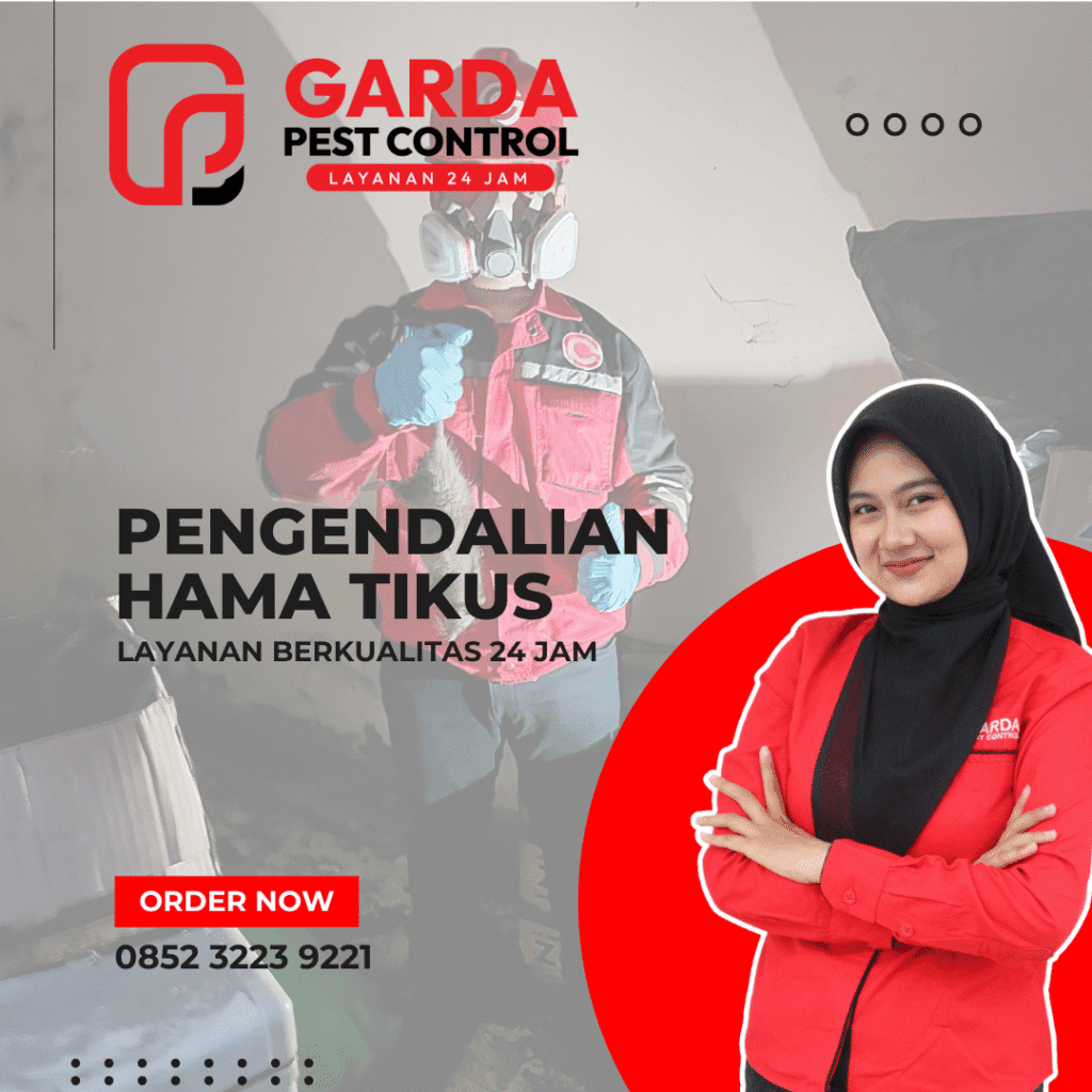 Jasa Pembasmi Tikus di Malang Murah dan Berkualitas