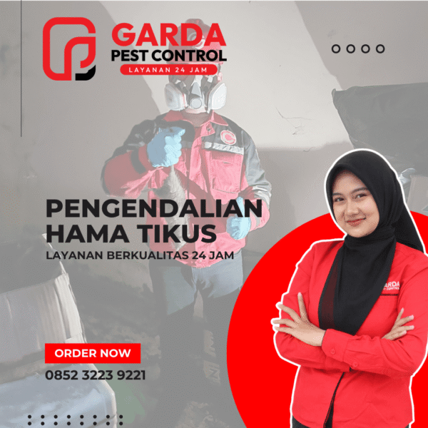 Jasa Pembasmi Tikus di Malang Murah dan Berkualitas