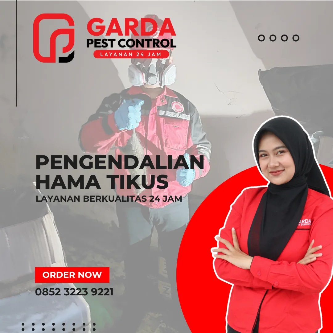 Jasa Pembasmi Tikus di Malang Murah dan Berkualitas