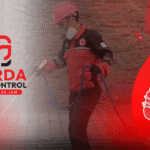 Pest Control Anti Rayap =