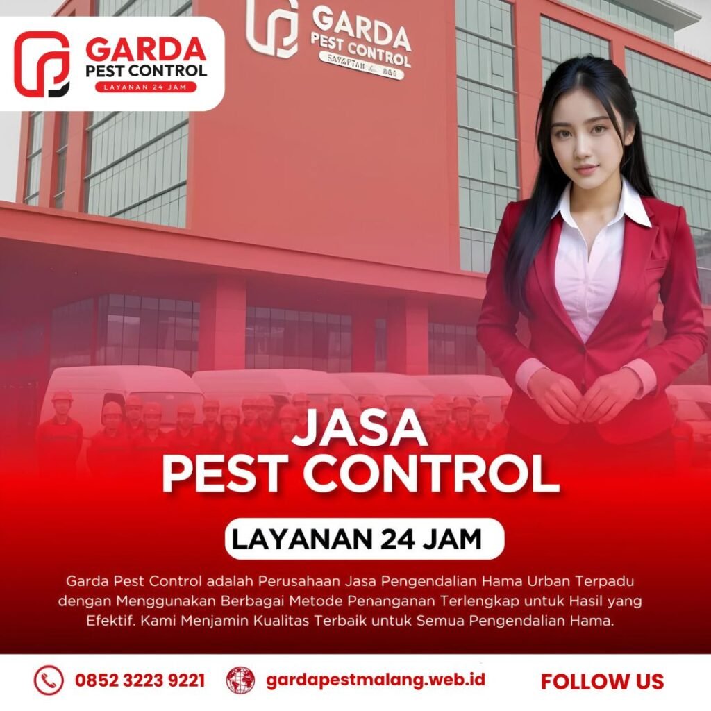 Jasa Pembasmi Rayap