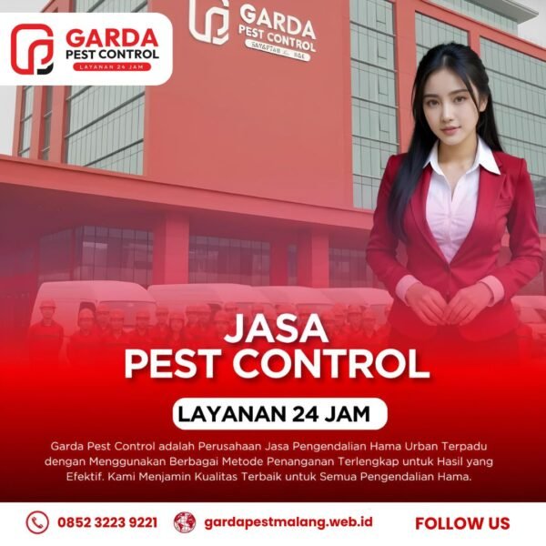 Jasa Pembasmi Rayap