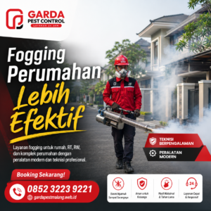 Harga Jasa Fogging Nyamuk di Malang