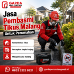 Jasa Pembasmi Tikus Gudang Malang untuk Aset Bisnis dan Stok Logistik