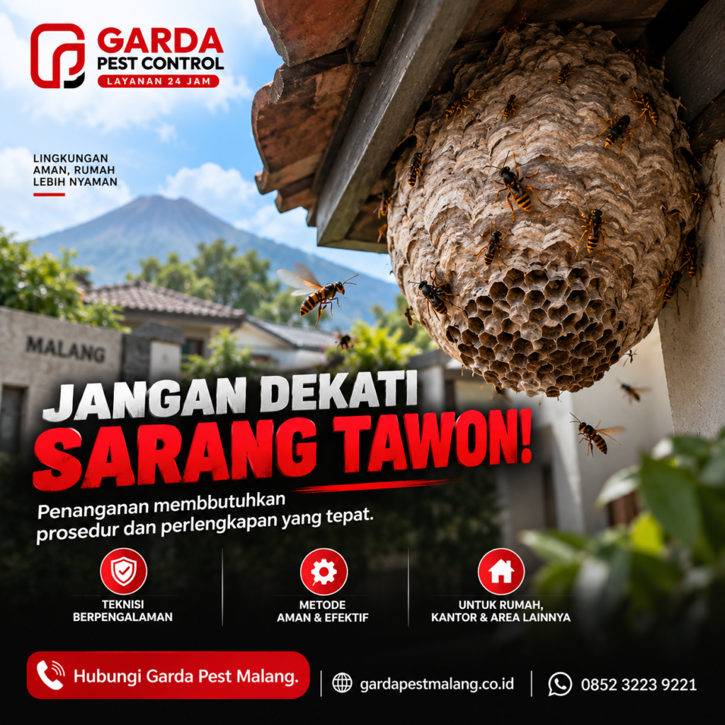 Jasa Pembasmi Tawon Malang